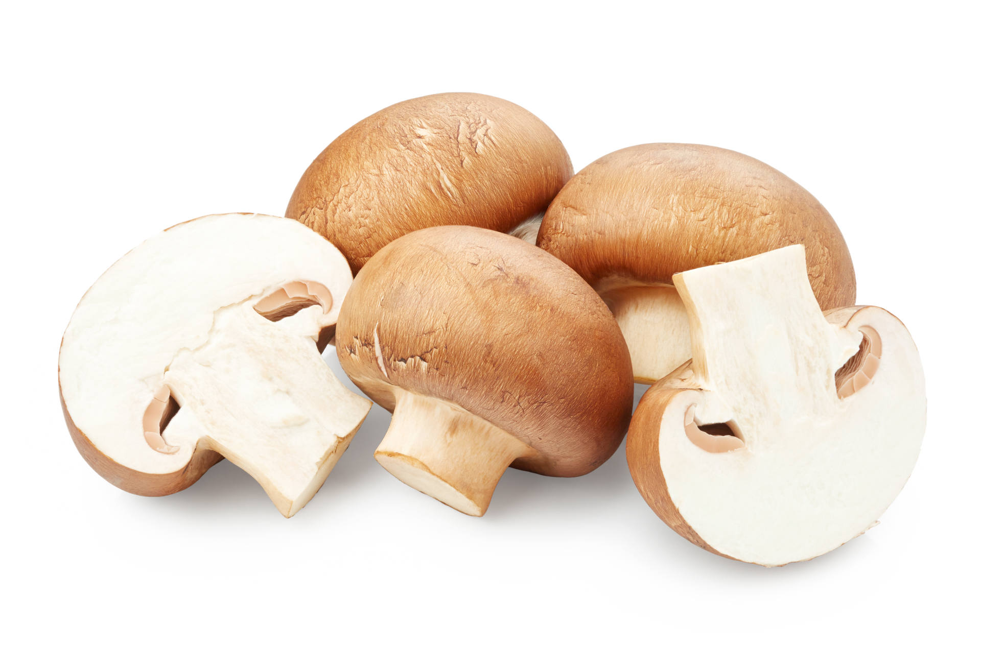 Brown mushrooms on white background