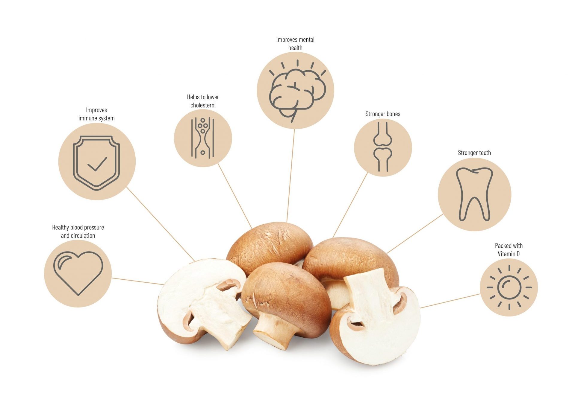 innovation Graphic which shows that mushrooms are rich in nutrients